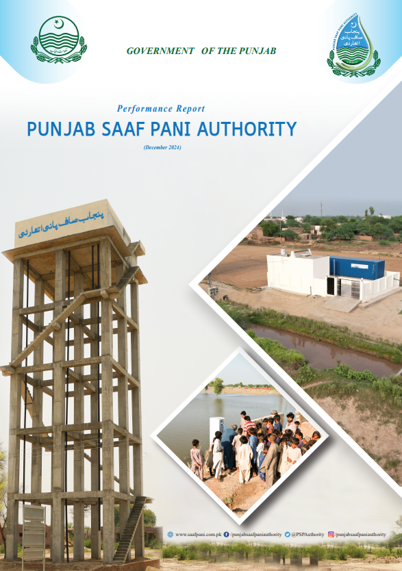 Performance report image